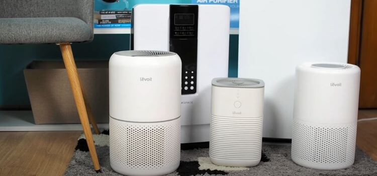 Best Air Purifier For College Dorm Room
