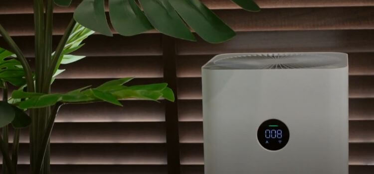 Top Qualities to Consider In An Air Purifier