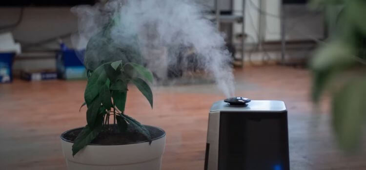 Scientific Evidence On Humidifiers For Headaches