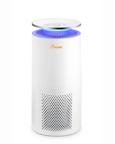 Crane Air Purifier Reviews: Uncover the Best Air Cleaners of 2024