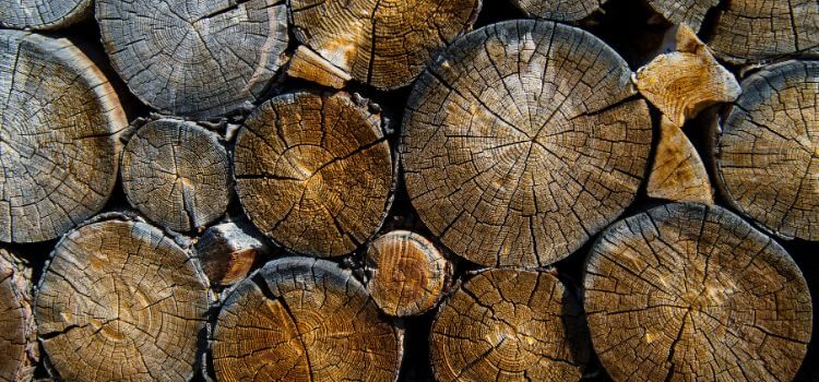 Common Myths About Burning Pecan Wood