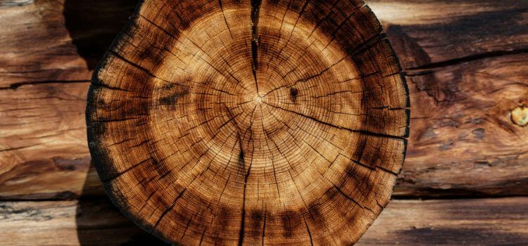 Properties Of Pecan Wood