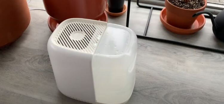 Is a Canopy Humidifier Worth It?