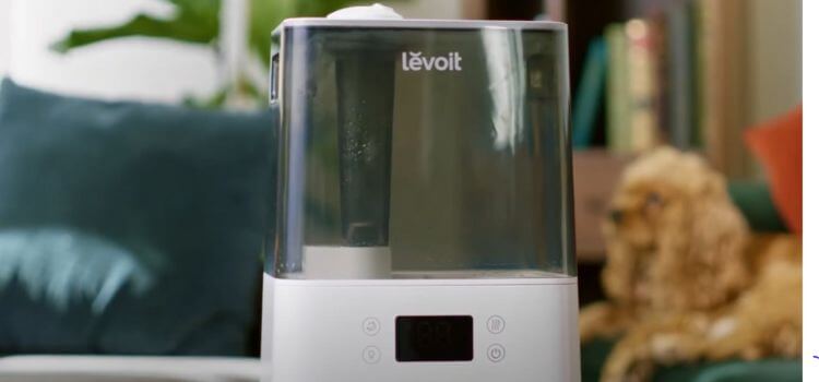 Is Levoit a Good Humidifier?