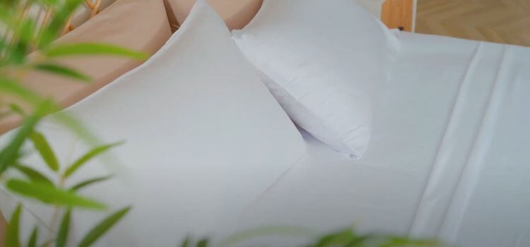 What Is The Best Material For Pillowcases For Hair? Bamboo's Natural Moisture-wicking Abilities