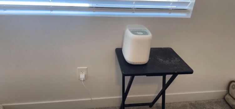 The initial investment for a canopy humidifier