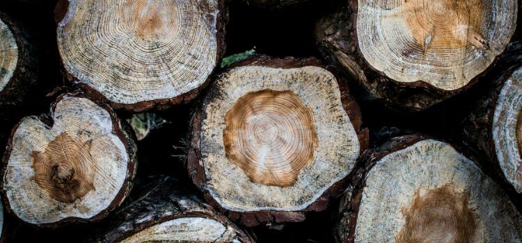 Environmental Impact Of Almond Wood