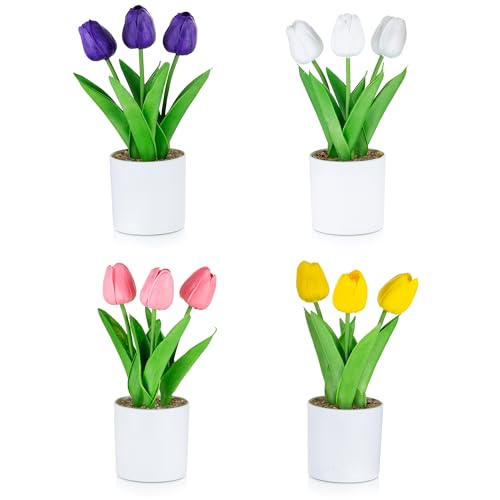 Best Vases for Tulips: Beautiful Arrangements for Your Home Decor