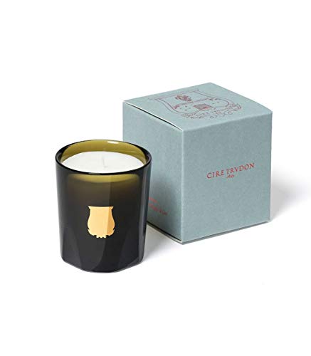 Best Trudon Candle: Elevate Your Home's Ambiance with Luxurious Scents