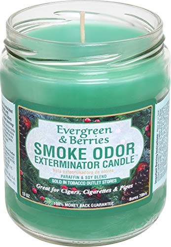 Smoke Odor Exterminator, Evergreen & Berries Candle, (TIME ONLY), 13 oz, 13 Ounce