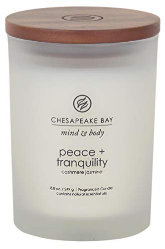 Chesapeake Bay Candle Review: Unveiling the Perfect Scent for Your Home