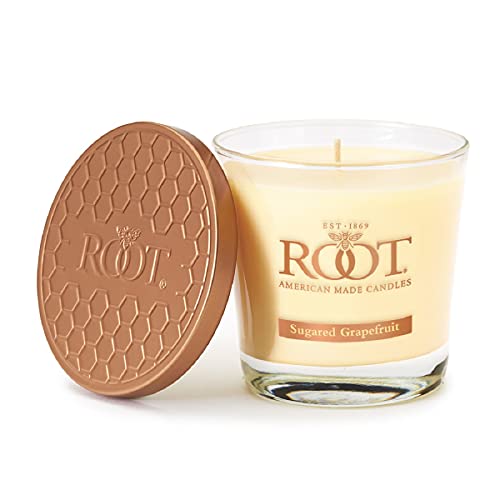 Root Candles 8873296 Honeycomb Veriglass Scented Beeswax Blend Candle, Small, Sugared Grapefruit